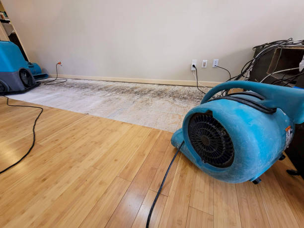 Professional Structural Drying technician working in Lizton, IN